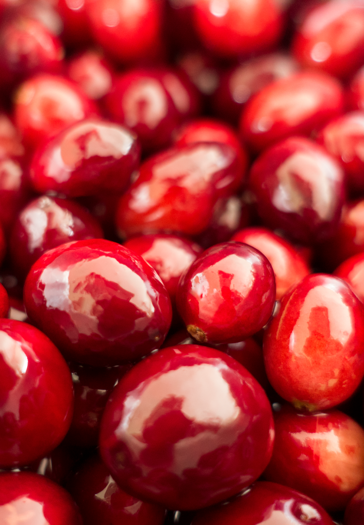 Confiture de cranberry (3/4)