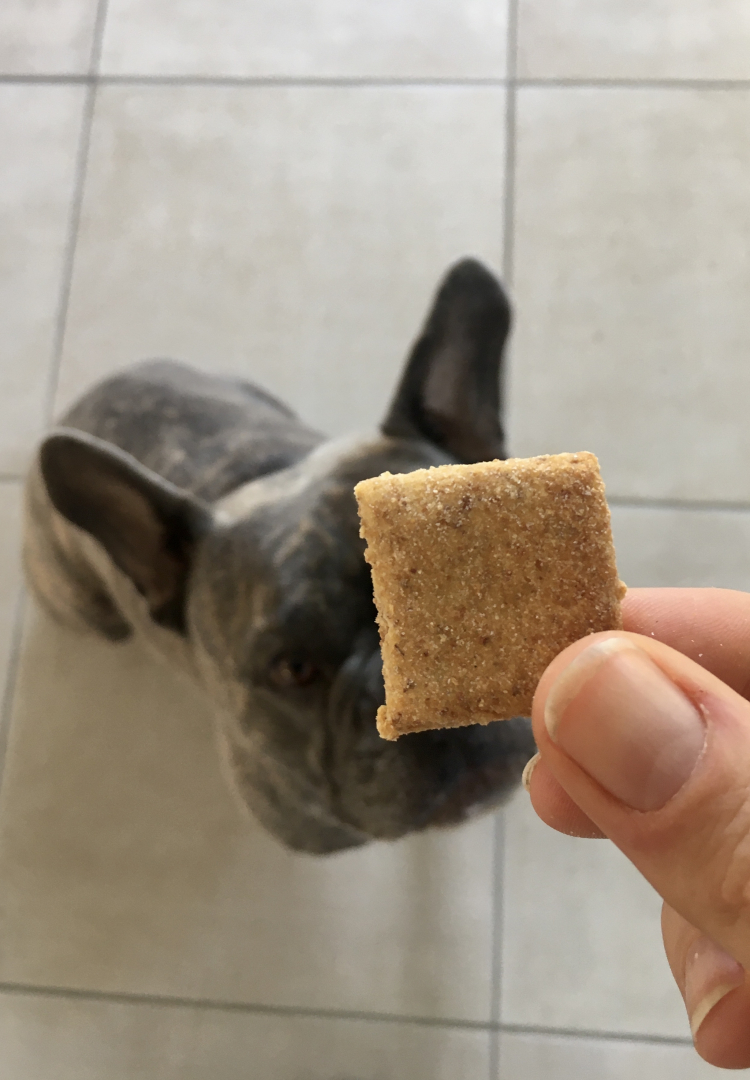 Biscuits pour chien (1/3)